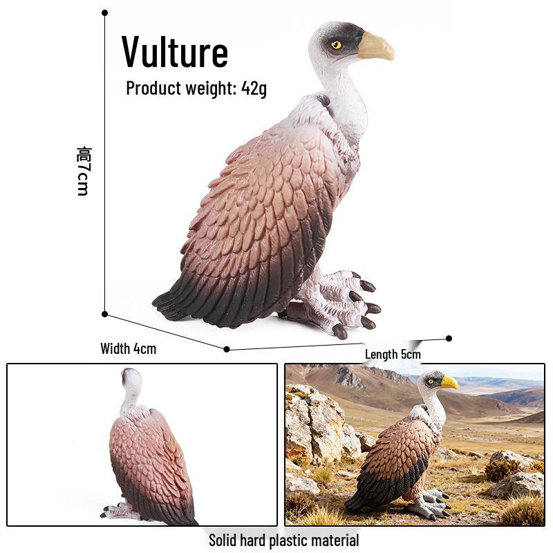 Children's Animal Simulation Toy Set: Eagle, Falcon, Secretary Bird, Owl Figurines