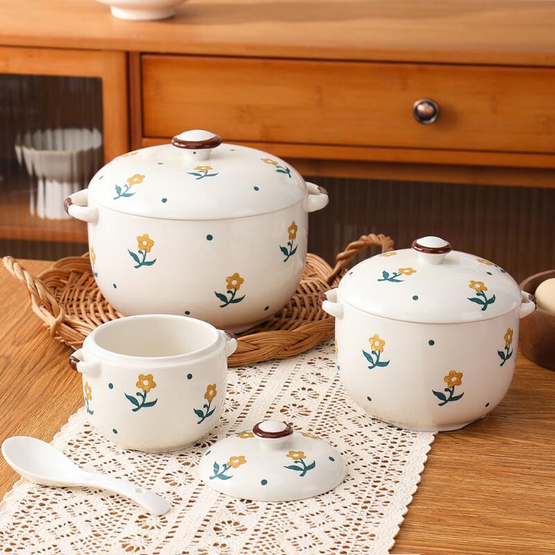 ZISIZ Underglaze Ceramic Stew Pot