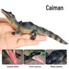 Crocodile Animal Model Toy: Caiman, Gharial, Nile Crocodile, Wild Boar, Deinosuchus - Kids' Educational Ornament