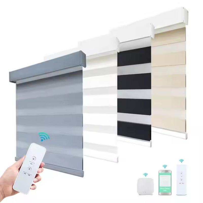 China Factory Wholesal 100% Blackout Day And Night Dual Shade WiFi APP Remote Control Smart Motorized Zebra Blinds For Window