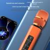 Wireless Bluetooth Microphone Speaker with Duet and Original Sound Cancellation for Home Singing