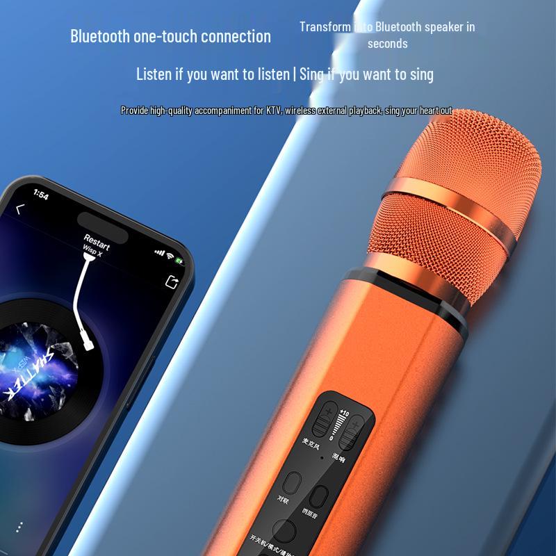 Wireless Bluetooth Microphone Speaker with Duet and Original Sound Cancellation for Home Singing