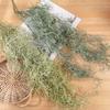 Plastic Artificial Air Grass Green Plants 91cm Ceiling Hanging Vine  Outdoor Garden Decor