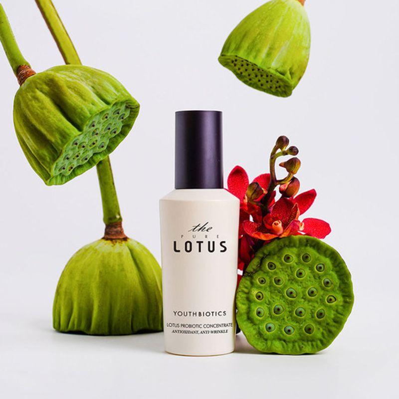 

YouthBiotics Концентрат фермента лотоса