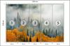 Photomural Fog Over Autumn Forest Non-Woven 520x318