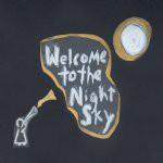

CD WINTERSLEEP - Welcome to the Night Sky LWM003 Labwork Music 2007 Canada Rock Used