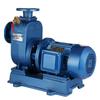 ZW High-Flow Horizontal Sewage Pump: Direct-Coupled, Industrial Three-Phase, Non-Clogging, Self-Priming Centrifugal Discharge Pump