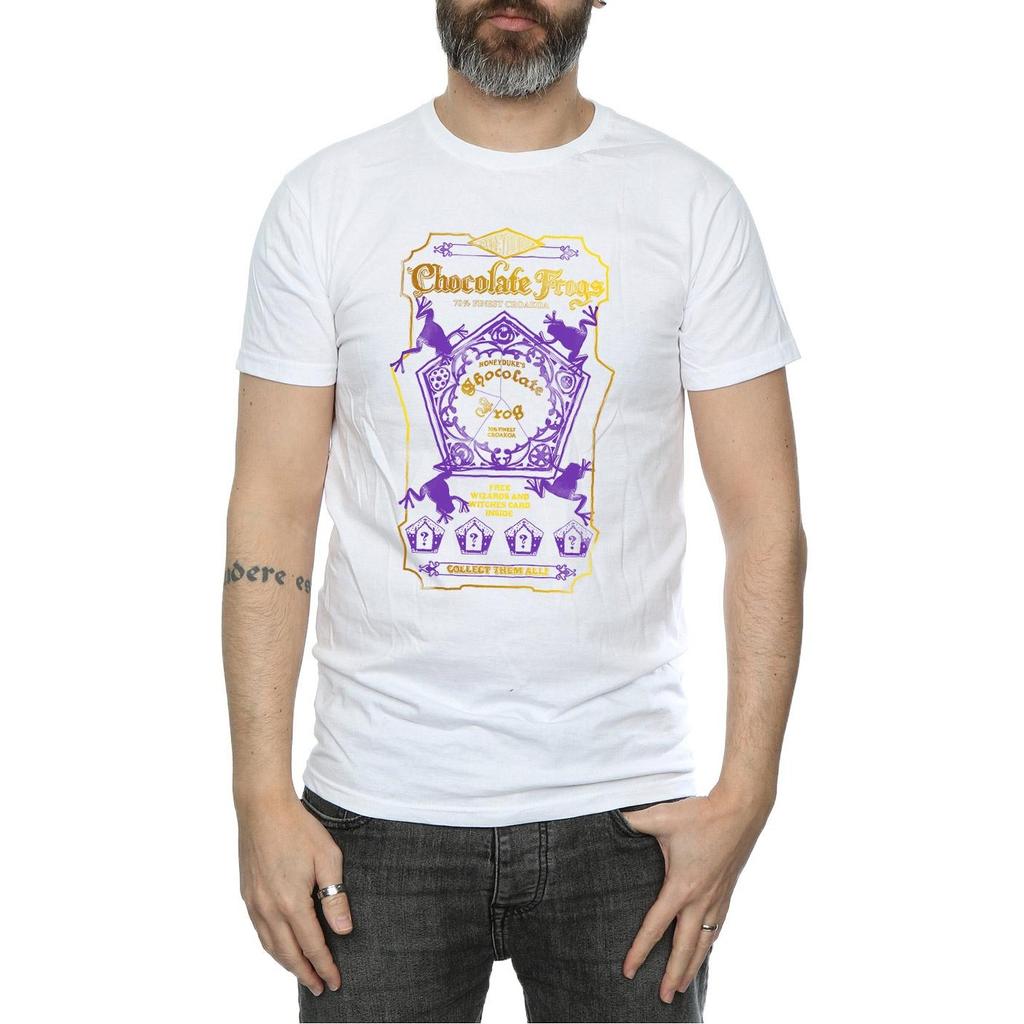 Harry Potter Mens Chocolate Frogs Coloured Label T-Shirt