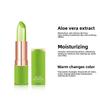 Aloe Vera Moisturizing Warm Color Changing Jelly Lipstick, Moisturizing Lip Gloss Lip Care Lip Care Lip Balm