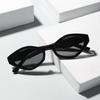 Vintage Cat Eye Sunglasses Women Men  Brand Designer Fashion Goggle Sun Glasses Female Trends Shades Outside Eyewear UV400