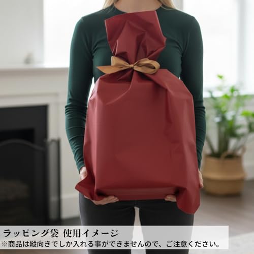 Partners Voice Recognition Doll Smile Ken-chan with Gift Bag