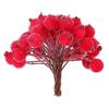 Mini Frutta Finta Bacche Melograno Artificiale Ciliegia Rossa Bouquet Decorazioni Fiori Artificiali Natale Decorazione Bacche Rosse