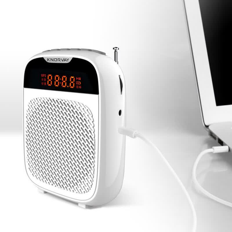 Nuowei S328 Tragbarer Bluetooth-Sprachverstärker (CN-Version)