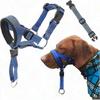 Cães – Colares e correias para cães