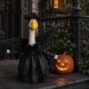 Ghost Goose Costume with Lantern 1 Set Halloween Porch Outfit, Light-up Lantern, Yard Decoration Pumpkin Apparel for 23 Inch Statue Festive Decor Easy