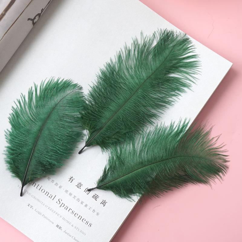 Colored Ostrich Hair 15-20Cm Wedding Ornament Wall Decoration Feather Wall Hand Bouquet Diy Dream Catcher Material