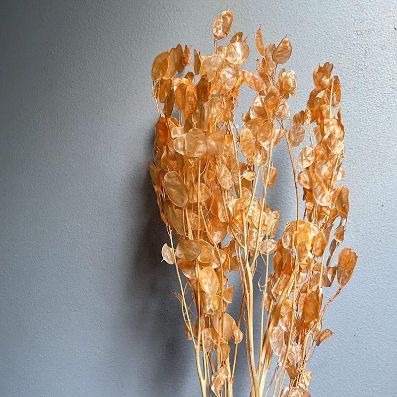 Silver Fan Dried Flower, White Flower Diy Home Decoration Bouquet, Natural Real Flower, Silver Fan Dried Flower, Immortal Flower