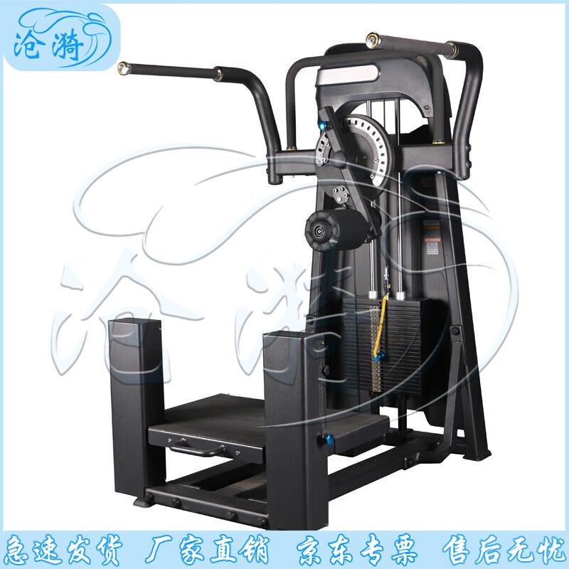 Commercial Standing Glute and Leg Swing Machine