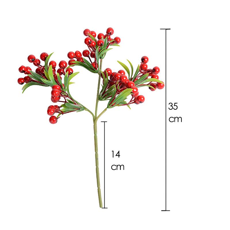 fargesia rufa wächst nicht Bambus rufa (Fargesia rufa) | 60-80 cm im Topf