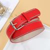 Punk Style Women'S Rivet Pin Buckle Belt Pu Simple Cow Pants Decorative Wide Belt