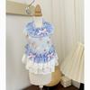 Pet clothes dog super cute blue sky bear couple clothes small and medium pet Maltese than bear teddy