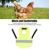 Easy Clean Poultry Harness Vest Nylon Hen Reflective Vest Warm Chicken Harness Vest  Hen