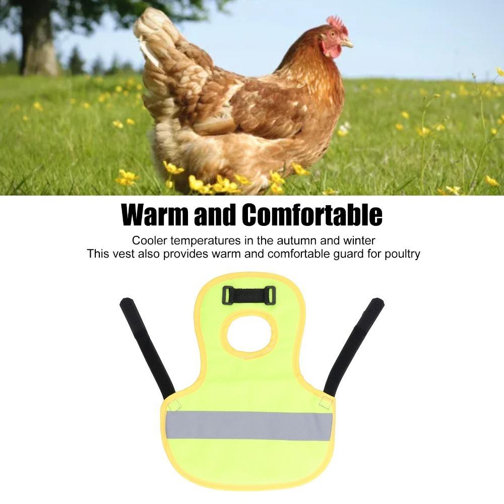 Easy Clean Poultry Harness Vest Nylon Hen Reflective Vest Warm Chicken Harness Vest  Hen