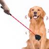 Palm Shape Dog Training Whips Durable Random Color Pet Training Stick Portable Cat Teaser Wand Behavior Management