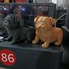 3D Printed Animal Shaped Pot Plastic Pug Figurine Plant Holder  Desktop Display