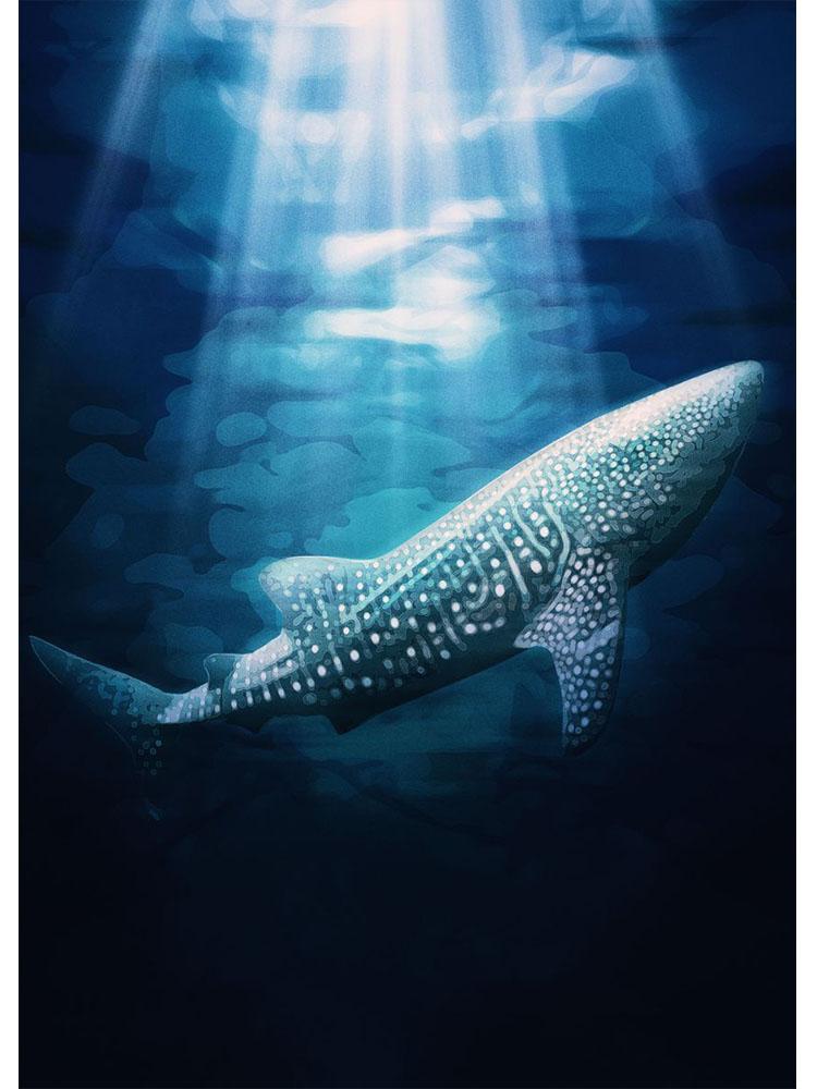 

Гіганти Північного океану, китова акула, плакати, картини на полотні, морське життя, настінний принт для домашнього декору у вітальні, подарунок Куадрос 40x50cm No Frame