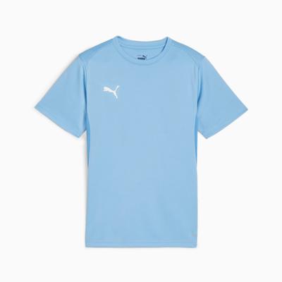 Puma Teamgoal Jersey Jr Kids' T-shirt Blue 65863718 R 128