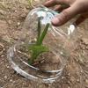 1/5 Buc Acoperiș pentru Răsaduri de Flori pentru Plante din Semințe Clopot Acoperiș Protejează Plantele Grădinărit de Seră Grădină Legume Acoperiș de Plastic