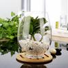 Round Glass Dinosaur Egg Hydroponic Vase Desktop Ornament for Plants