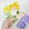 2 Cavity 3 Cavity Ice Creams Molds Multiple Style Flower Corn Carrots Chocolate Pastry Ice Mould Kitchen Accessories