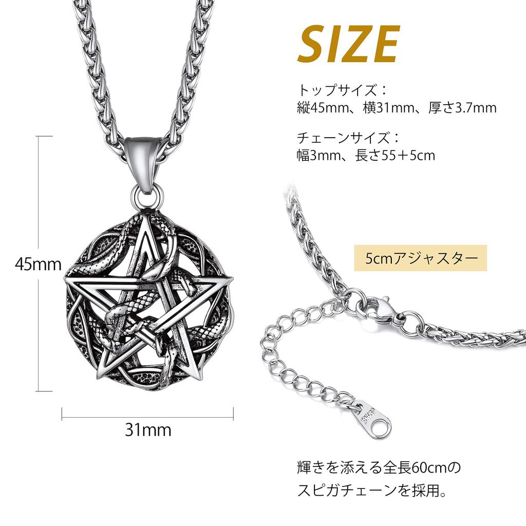 Richsteel Men's Stainless Steel Antique-Style Pentagram Snake Necklace Pendant, Hypoallergenic, Good Fortune Charm, Accessory