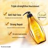 Ziyuan Ginger Strengthening Anti-Hair Loss Shampoo for Oily Scalp