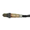 Oxygen Sensor CV6A-9G444-AA
