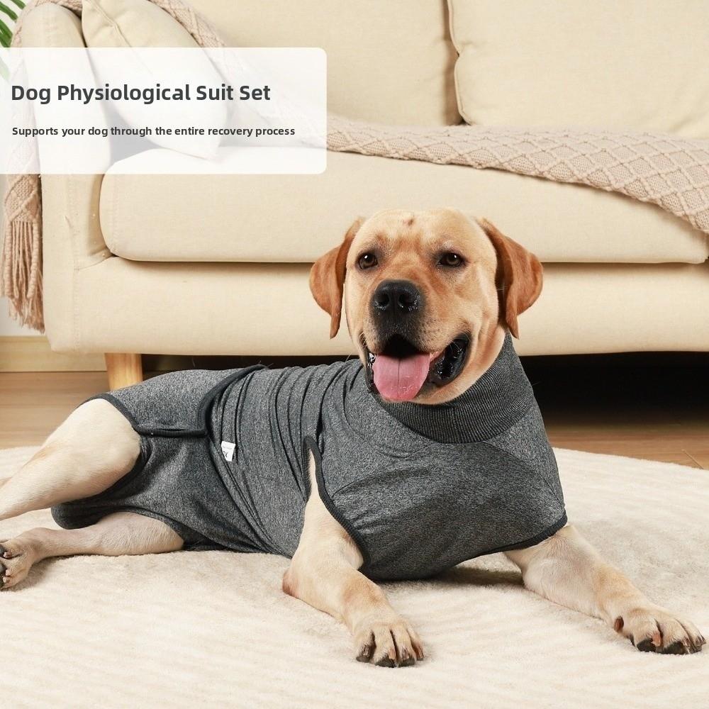 Breathable Dog Recovery Suit Washable Prevent Licking Clothes  Postoperative Care
