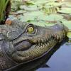 Floating Alligator Head, Pool Accessories Float Fake Alligator Head For Swimming Pool Koi Pools, Resin Ornaments Decoration For Garden Courtyard