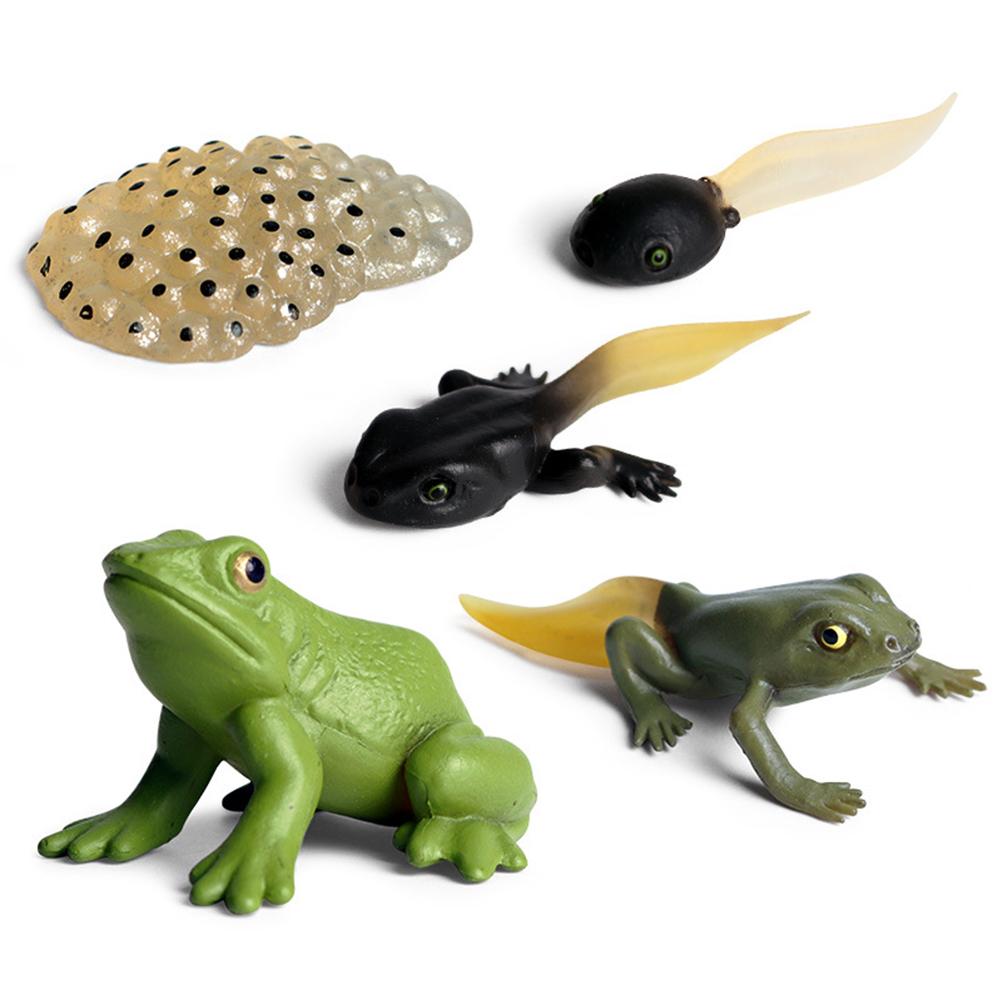 Modelo de Animal de Simulação Crianças Mini Animal Galo Formiga Sapo Tartaruga Mosquito Ciclo de Crescimento Figuras de Ação em PVC Boneca Brinquedo para