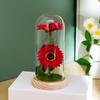 Creative Sunflower Night Light: Preserved Flower in Glass Dome with Acrylic Lampshade.