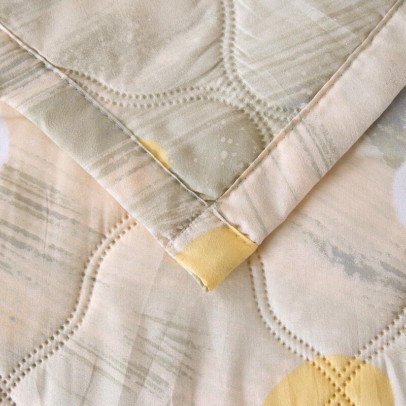 Qingqing Mugwort Antibacterial Summer Quilt