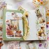 5cm*2m Vintage PET Tape Decorative Stick Labels Diary Album Scrapbooking Material Handmade Junk Journal Supplies