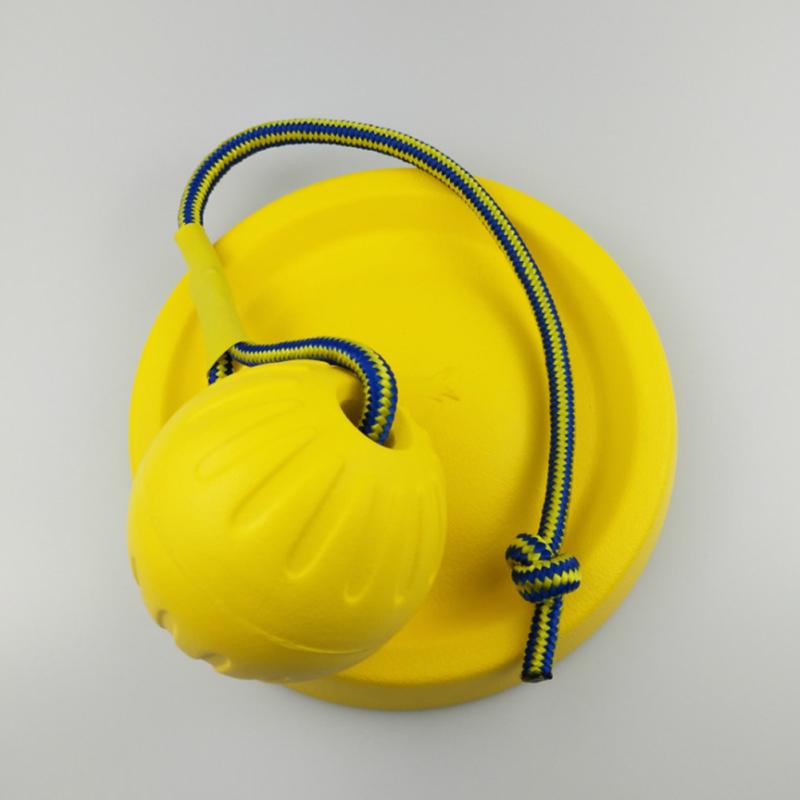 Funny Bite Resistant Training Ball Chew Toy with Rope for Pet Dog