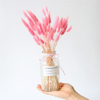 20 buc flori uscate coada iepurașului buchet de iarbă buchet real pentru obiecte de fotografie Flores DIY Home Decor nunta