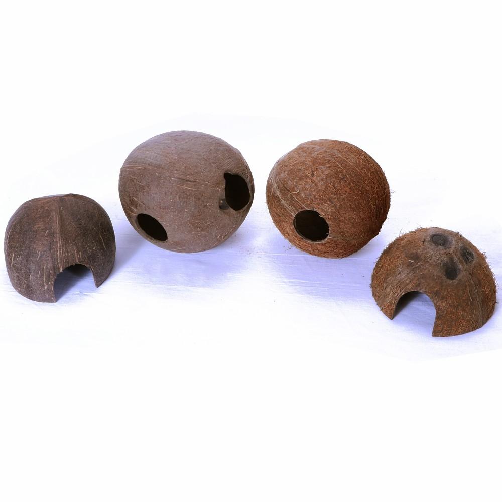 Natural Hideout Cave Smooth Coconut Terrarium for Reptiles 10-12cm