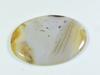 60Cts. Natural Montana Agate Stone Oval Cabochon Loose Gemstone 32X45X05 MM ET-346