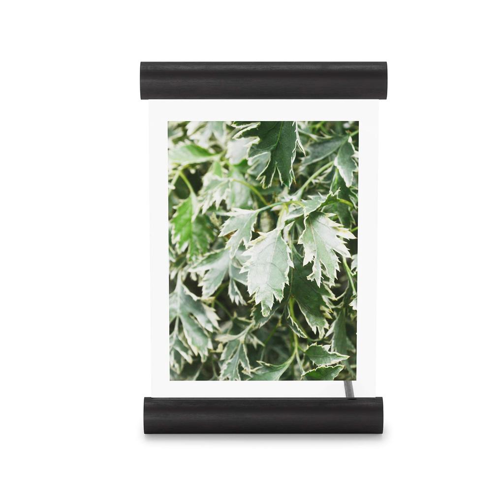 Umbra Photo Photo 2L 21016770040 Frame, 14x18cm, Display, Size, Scroll, Black,