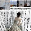 Chinese Ink Style Ancient Calligraphy Yarn Mesh Fabric HanFu Costume Tulle Voile Curtain Background Zen Tea Room Decor Cloth