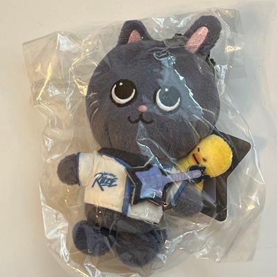 Used RIIZE Keyring Won Bin Tonyandok